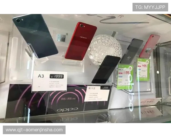 如何在金沙城娱乐最新官方app中快速充值，安全便捷的支付方式介绍