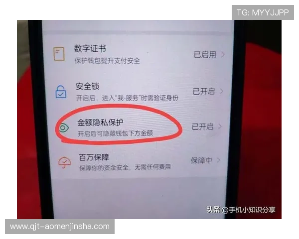 金沙娱乐app登录后常见的安全验证措施,保障您的账户安全 金沙娱乐app登录后常见的安全验证措施,保障您的账户安全