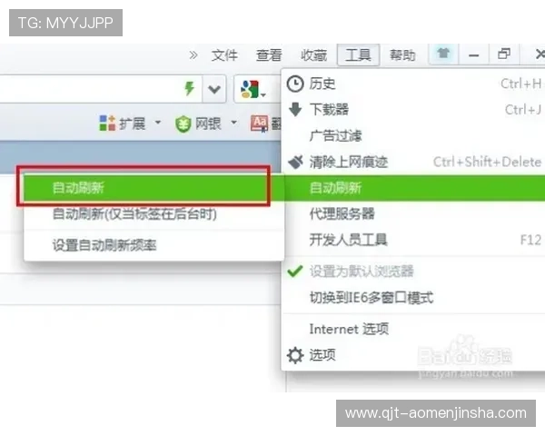 大阳城地址登录入口详细步骤与常见问题解决方案