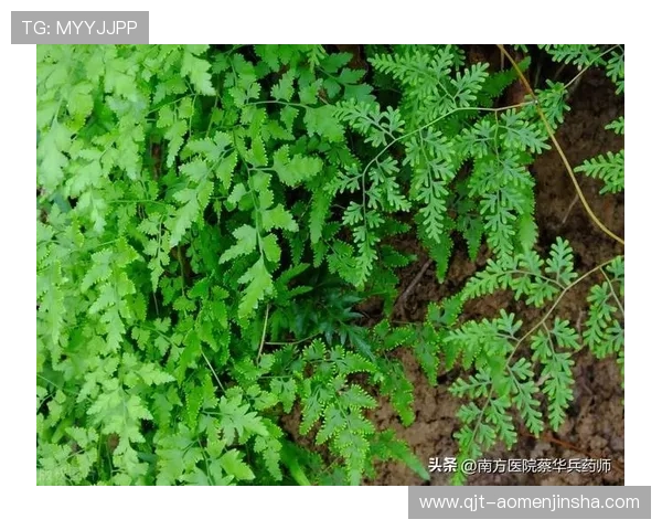 如何快速找到金沙中國的最新地址,解決玩家常見的地址查詢困難 如何快速找到金沙中國的最新地址,解決玩家常見的地址查詢困難
