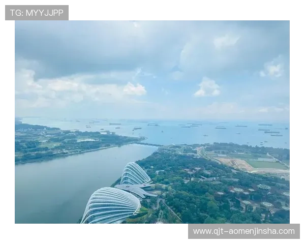 如何在新加坡金沙娱乐中安全游戏并合理控制娱乐预算