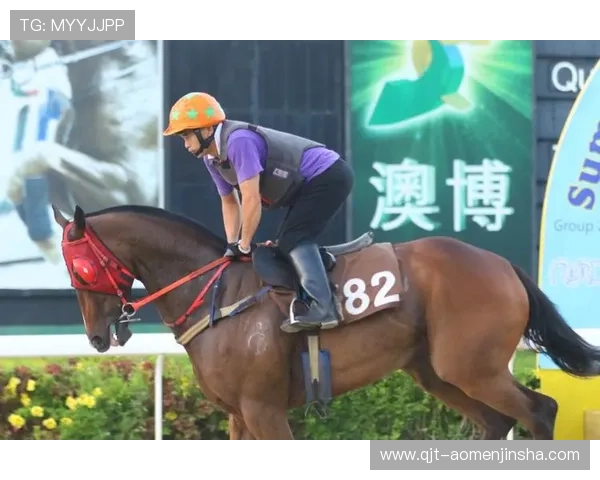 澳门赛马官网下载最新版本下载指南，确保您顺利安装并享受高清赛事直播服务