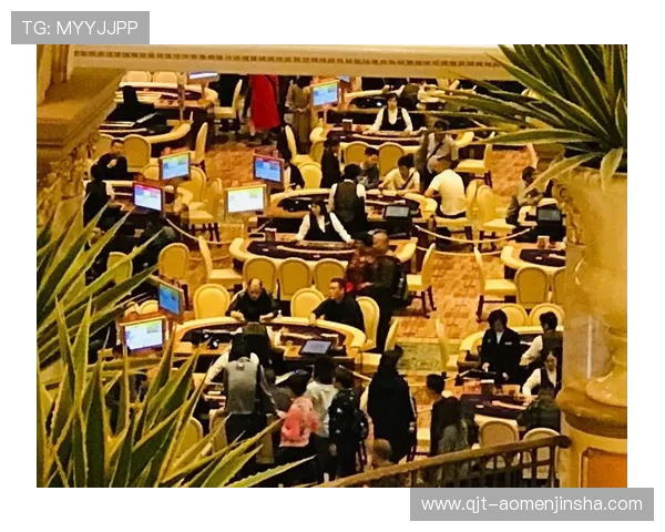 澳门金碧汇彩的具体位置在哪里，如何快速到达以及周边环境介绍